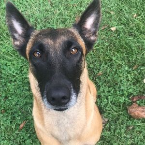 Meet your Posher, Tyler